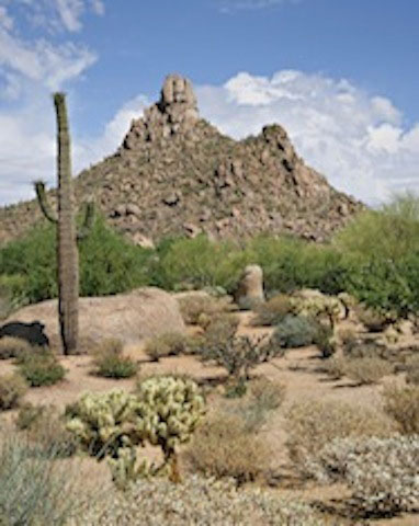 Pinnacle Peak